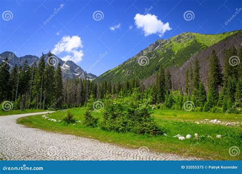 Beautiful Scenery Of Wlosienica Meadow In Tatra Mountain Stock Image