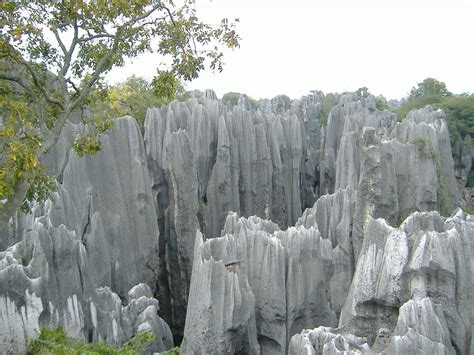 TRAVEL "OUT OF THE BOX": Stone Forest