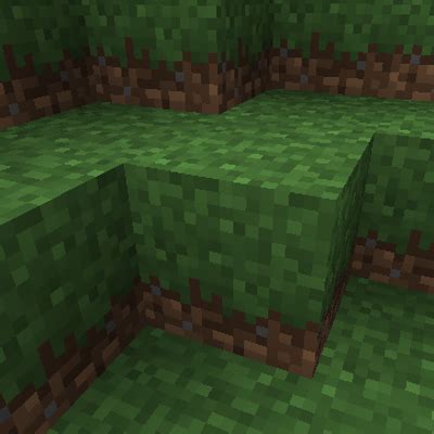 Minecraft Tall Grass Texture