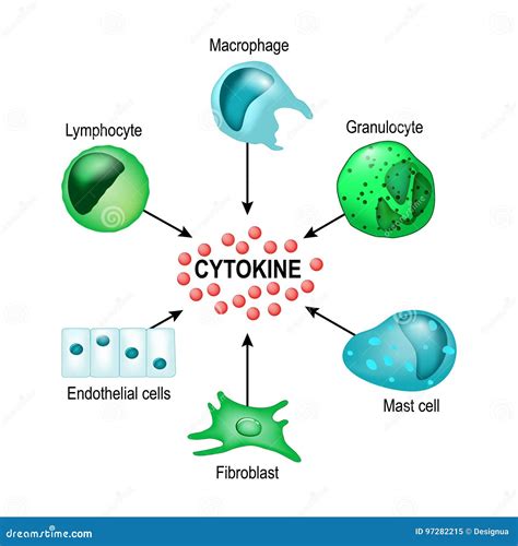 Cytokine Vector Concept Stock Vector Illustration Of Chemokine 97282215