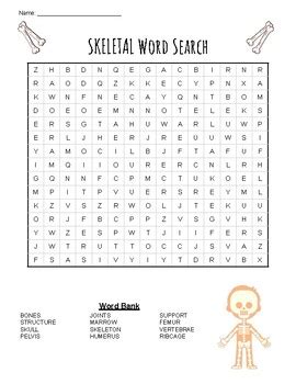 Skeletal System Word Search By Christina Skrocki Tpt