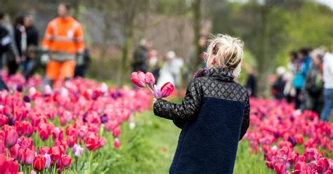 Het Blijft Tips Regenen Voor Een Uitje Tijdens Het Laatste Weekend Van