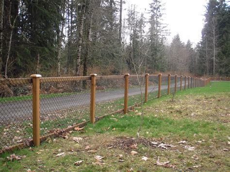 Chain Link Fencing In Sammamish Wa City Wide Fence