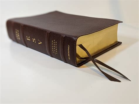 Leather bound esv bible - masawo