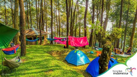 Tempat Camping Keluarga Di Puncak – Destinasi Wisata Bali