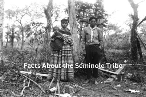 Facts About The Seminole Tribe Have Fun With History