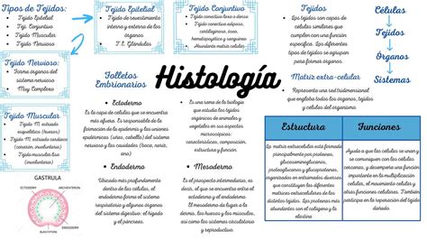 Mapa Conceptual Sobre Histologia Docsity The Best Porn Website