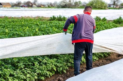 Manta Térmica para Plantas Non Woven Erhardt