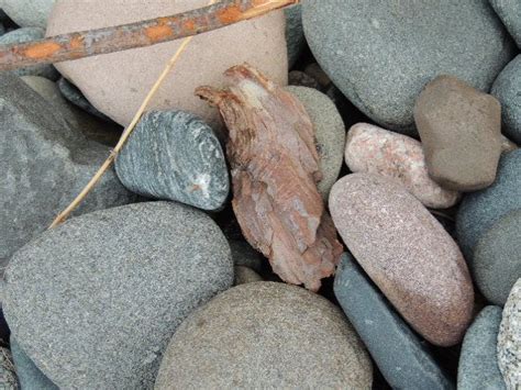 Stones From The Beach Of Lake Superior In Grand Marais MI One Of