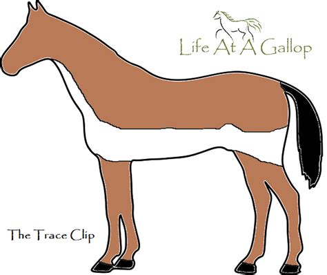 Horse Clipping Styles | Life At A Gallop | Equestrian Blog Cheshire