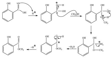 Salicylic Acid And Methanol Mechanism