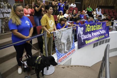 Congreso De Yucatán Aprueba La Ley De Adopciones Del Estado