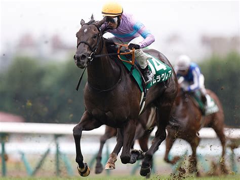 【スプリンターズs】ナムラクレアが悲願のgi初制覇へ 初騎乗の横山武史騎手で参戦 競馬ニュース Netkeiba