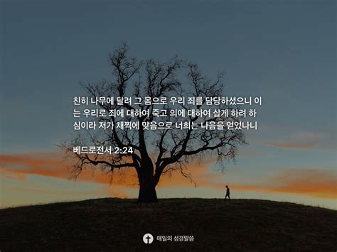 베드로전서 2 24 Daily Bible Inspirations