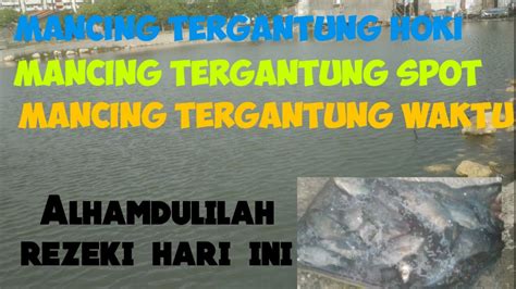 Mancing Ikan Nila Umpan Lumut Mancing Di Sini Harus Bawa Umpan Yang