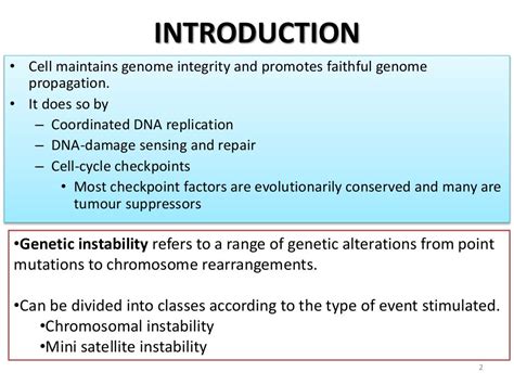 Genomic Instability And Cancer