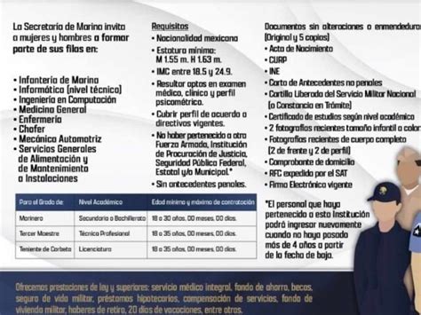 Quieres Trabajar En La Marina En Esta Es La Lista De Requisitos