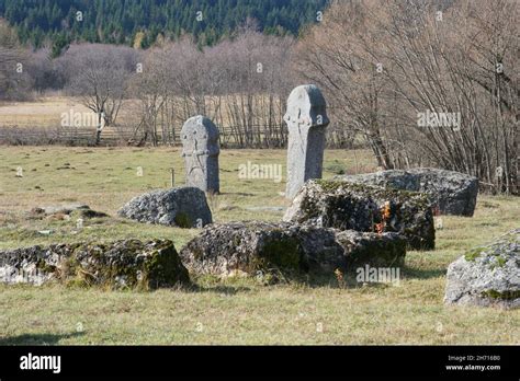 Nekropola sa stećcima Maculje Graveyard with medieaval monumental