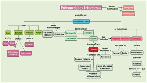 Mapa Conceptual De Las Enfermedades Infecciosas Brainly Lat