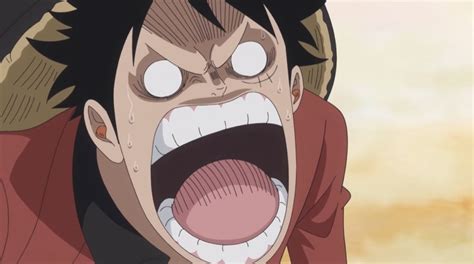 ‘one Piece Episode 903 Release Date Spoilers Luffy Vs Urashima Sumo