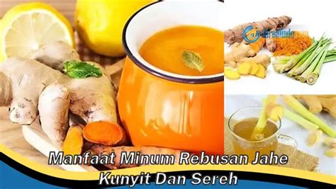 Kamu Wajib Tahu Manfaat Minum Rebusan Jahe Kunyit Dan Sereh Yang