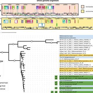 Predicted Structures Of Plasmid Proteins From HMp V1 Plasmid Proteins