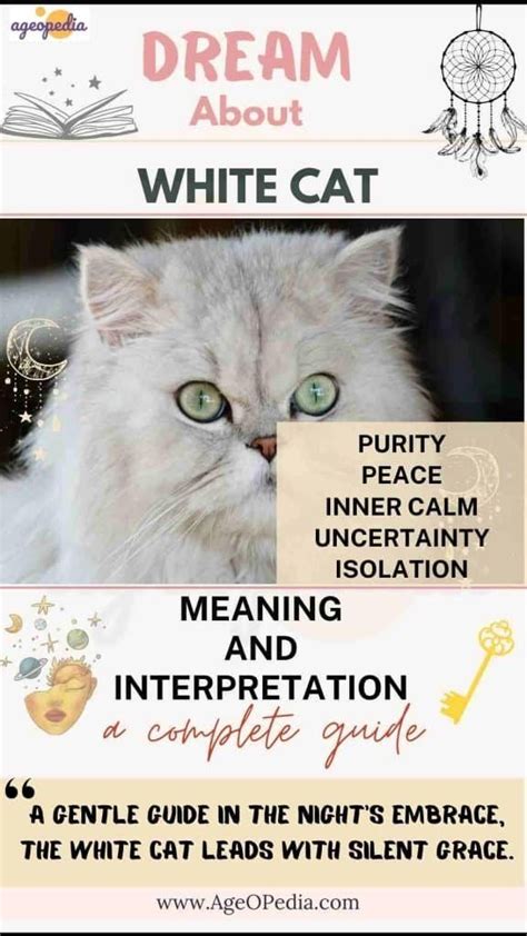 Dream About White Cat Biblical Spiritual Meaning Interpretation