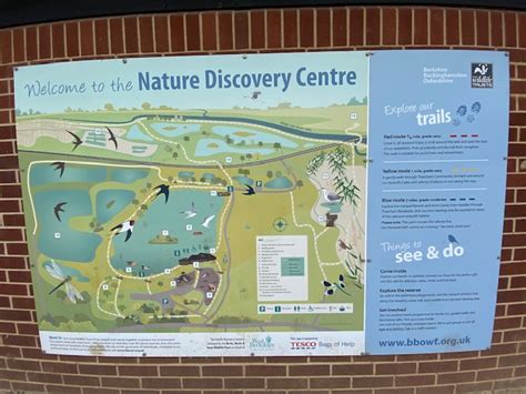 Thatcham Nature Discovery Centre - Red Kite Days