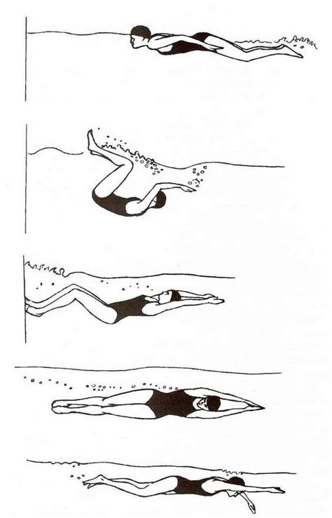 Crawl swimming technique and flip turn – Artofit