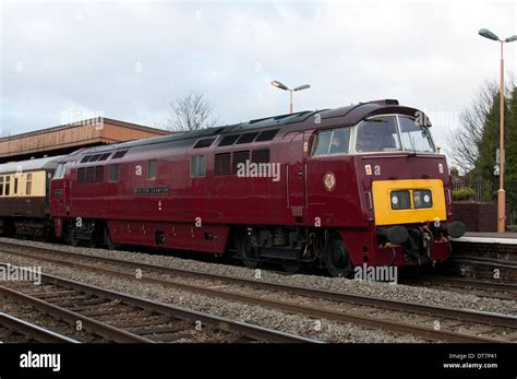 Preserved Class 52 Diesel Locomotive No D1015 Western Champion At Leamington Spa Uk Stock