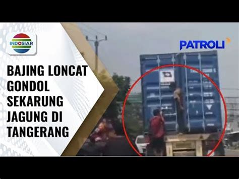 Bajing Loncat Beraksi Siang Bolong Gondol Sekarung Jagung Dari Truk