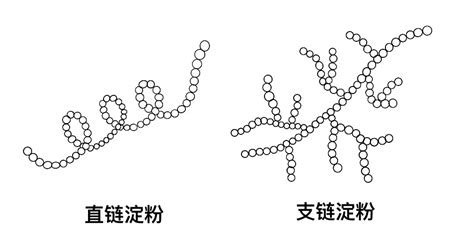 支链淀粉 分子式 大山谷图库