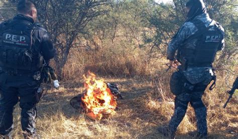 Desmantela Polic A Estatal Campamento Utilizado Por Grupo Delincuencial