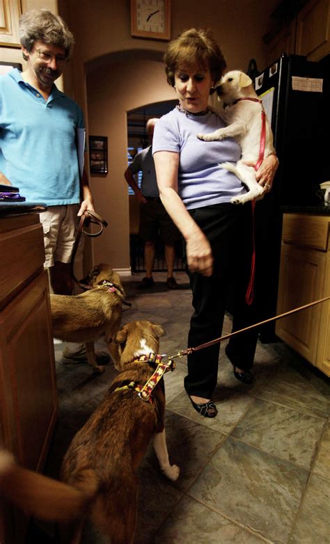 Dogs facing death in S.A. get new life in New Hampshire