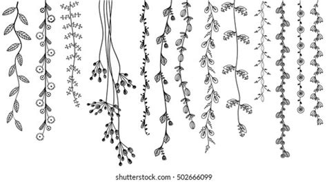 11 Easy Line Drawing Flower Vines Stock Vectors and Vector Art | Shutterstock