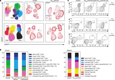 Intratumoral Vv Gm αctla 4 Expands Peripheral Effector Cd8 T Cells