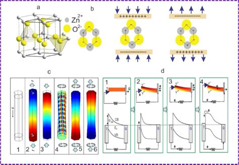 A Zno Wurtzite Structure Uchino 2018 B Piezo Potential Download Scientific Diagram