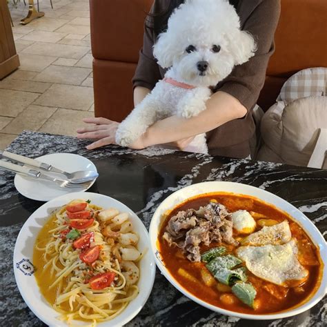 안산 강아지랑갈만한곳 중앙동 애견동반식당 센트랄드파사드 네이버 블로그