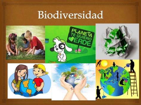 Biodiversidad De México