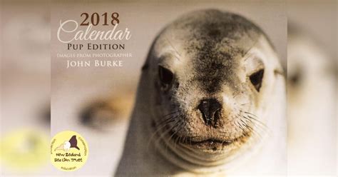 2018 Sea Lion Calendars - Givealittle