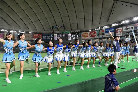 都市対抗野球：決勝 大阪ガス（大阪市）の応援団 写真特集539 毎日新聞