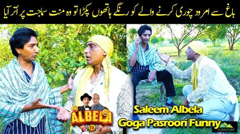 Goga Pasroori Amrood Chor Saleem Albela Nay Pakkar Lia Funny Video