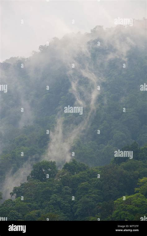 Ecuador rainforest hi-res stock photography and images - Alamy