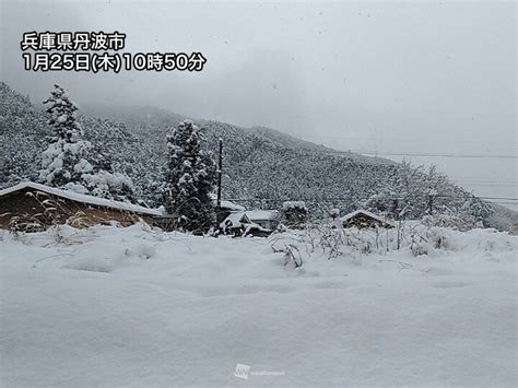 日本海側の広い範囲で雪が続く 今日は山沿いを中心に積雪増加（2024年1月25日）｜biglobeニュース