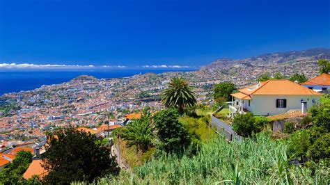 The Best Madeira Island Vacation Packages 2017 Save Up To C590 On Our