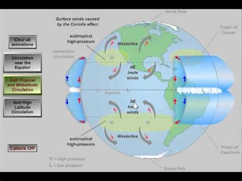 Global Atmospheric Circulation Model Diagram Global Atmosphe