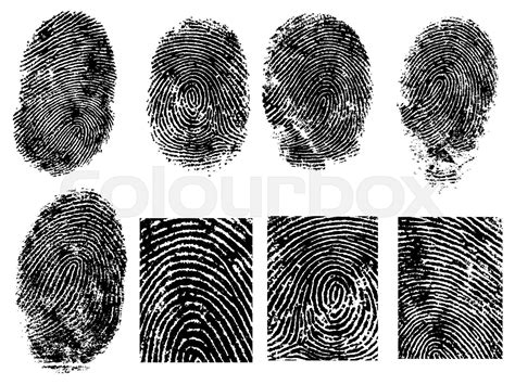 8 Fingerprints Stock Vector Colourbox