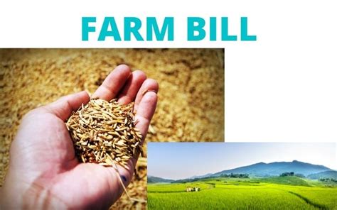 Farm Bill 2021 Why Farmers Protesting Startups News