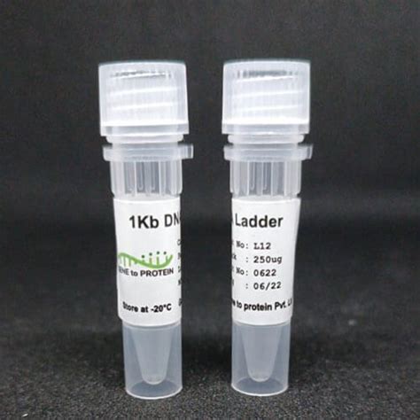 1 Kb DNA Ladder – GeneToProtein