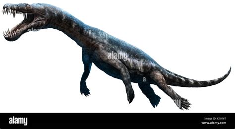 Nothosaurus Stock Photo: 159201584 - Alamy